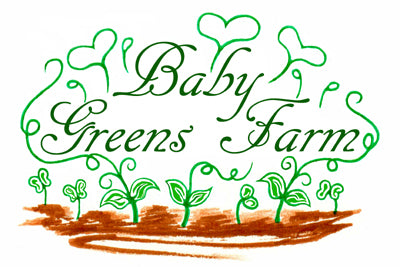 Baby Greens Farm